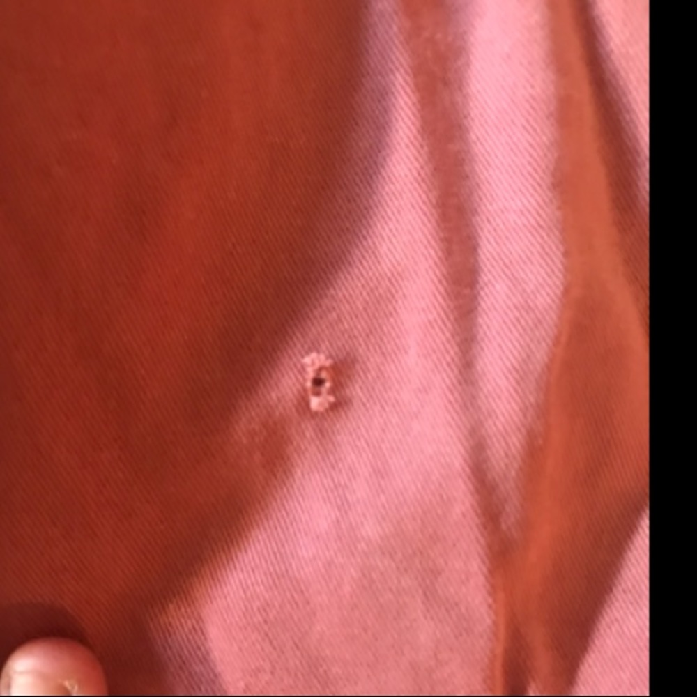 Salmon colored American Eagle shorts - Picture 3 of 3